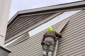 Best Siding Removal and Disposal  in Paw Paw Lake, MI